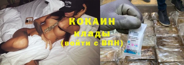 шишки Лиски