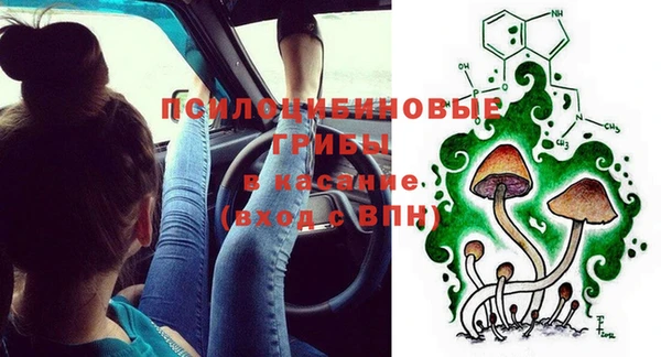 шишки Лиски
