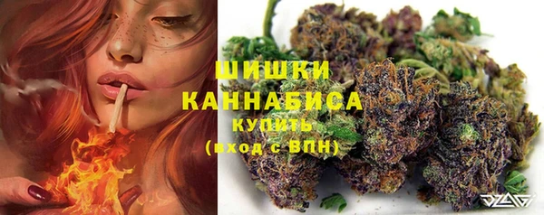 тгк Липки